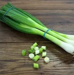Spring Onion 1 Bundle