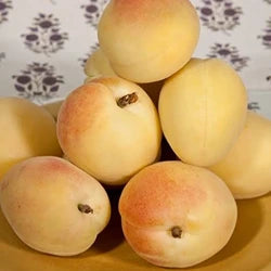 Apricot 500gm
