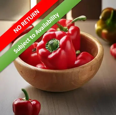 Capsicum Red 1 Piece (200-250gm)