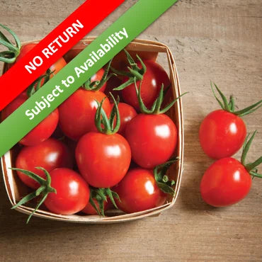 Cherry Tomato 250gm