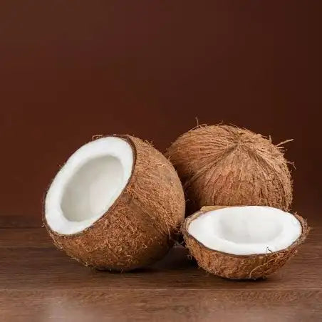 Coconut 1 Piece