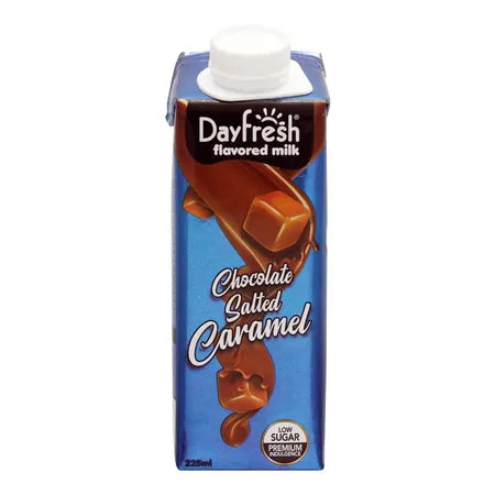 Dayfresh Chocolate Caramel Milk 225ml