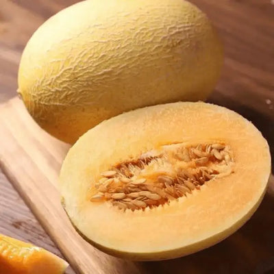 Garma Fruit 1 Piece (1.5-2kg)