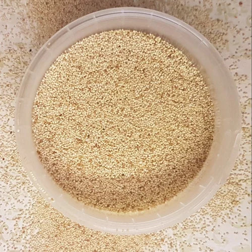 Khashkhash 100gm