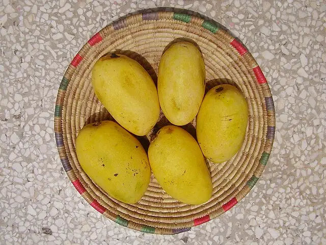Mango Black Chaunsa (0.9-1.1kg)