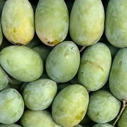 Mango Langra 1kg