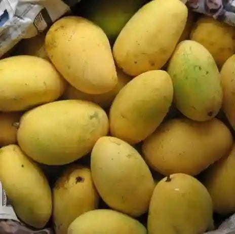 Mango Nawab Puri Chaunsa (0.9-1.1kg)