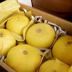 Melon 1 Piece (0.8-1kg)