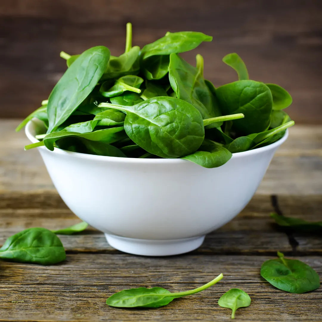 Spinach 1 Bundle