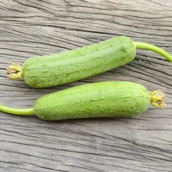 Sponge Gourd 500gm