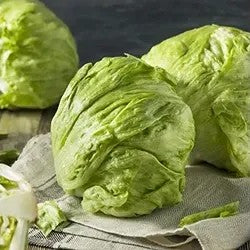Iceberg Lettuce 1 Piece (300-450gm)