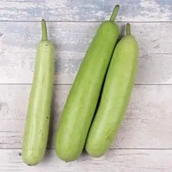 Bottle Gourd (0.9-1.1kg)