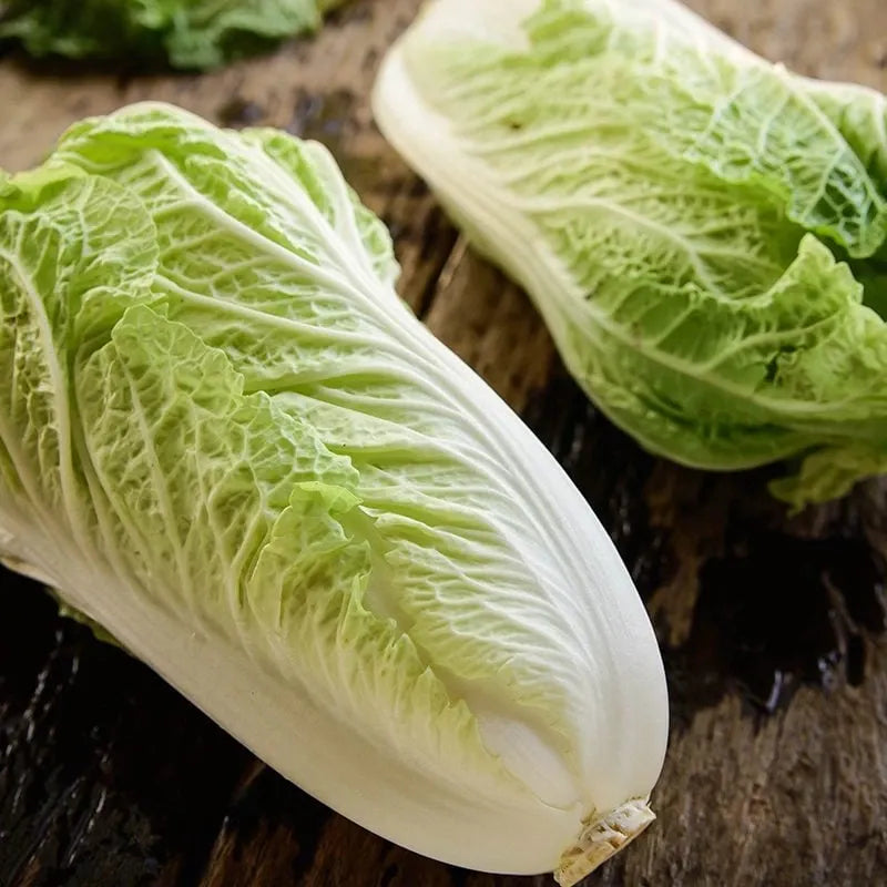 Chinese Cabbage 1 Piece (1-1.5kg)