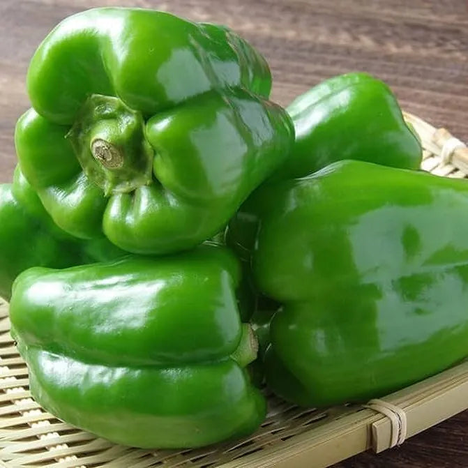 Capsicum Green 500gm