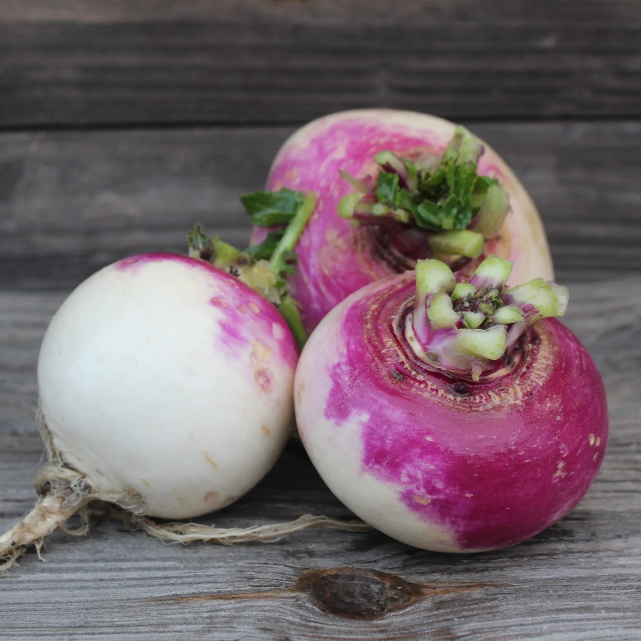Turnip 1kg